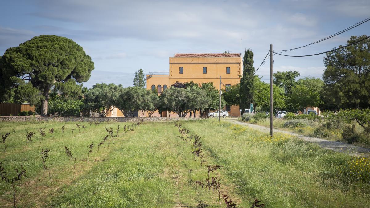 Masies i Parc Agrari